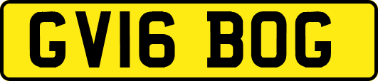 GV16BOG