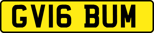 GV16BUM