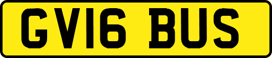 GV16BUS