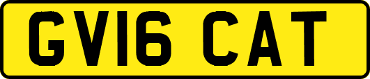 GV16CAT