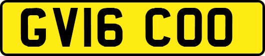 GV16COO