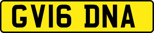 GV16DNA