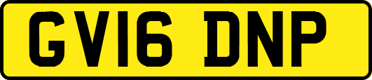 GV16DNP