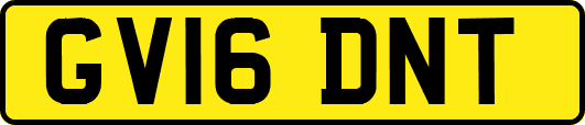 GV16DNT