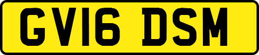 GV16DSM
