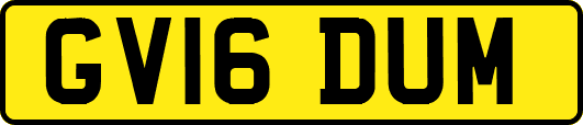GV16DUM