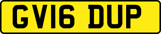 GV16DUP