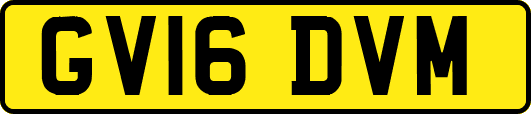 GV16DVM