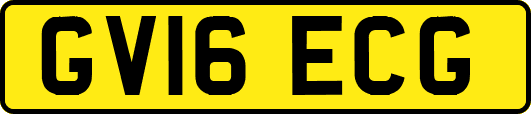 GV16ECG