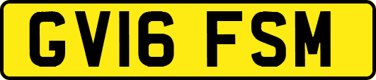 GV16FSM