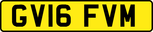 GV16FVM
