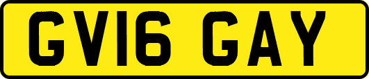 GV16GAY