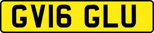 GV16GLU