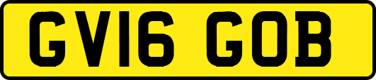 GV16GOB