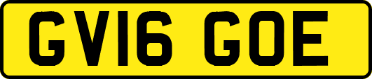 GV16GOE