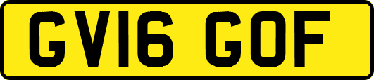 GV16GOF