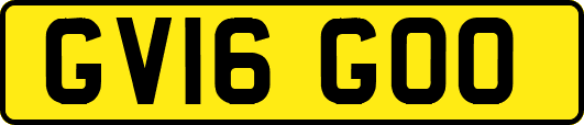 GV16GOO