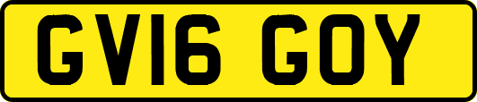GV16GOY