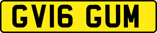 GV16GUM