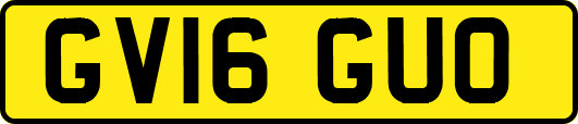 GV16GUO