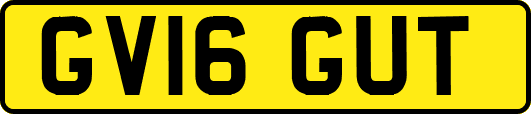 GV16GUT