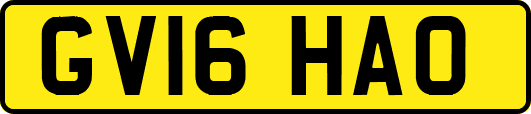 GV16HAO