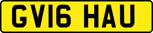 GV16HAU