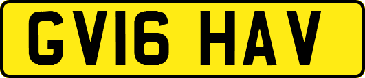 GV16HAV