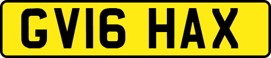 GV16HAX