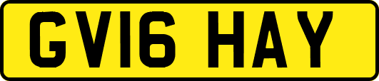 GV16HAY