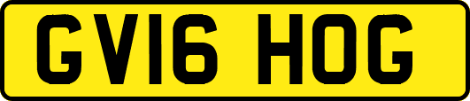 GV16HOG