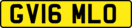 GV16MLO
