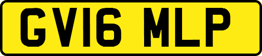 GV16MLP