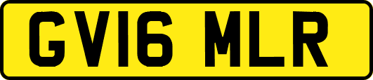 GV16MLR