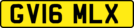 GV16MLX