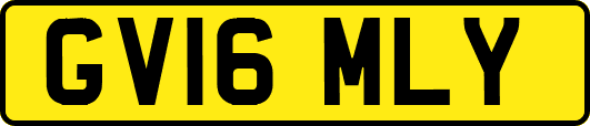 GV16MLY