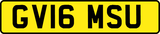 GV16MSU