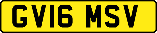 GV16MSV