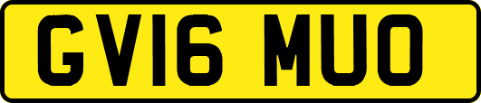 GV16MUO