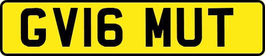 GV16MUT