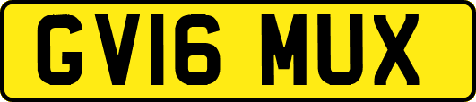 GV16MUX