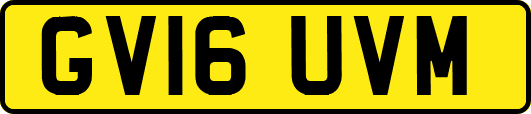 GV16UVM