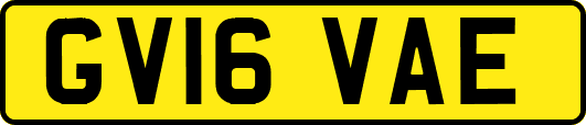 GV16VAE