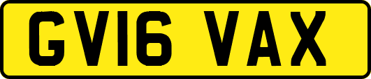 GV16VAX