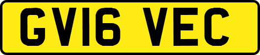 GV16VEC