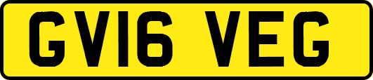 GV16VEG