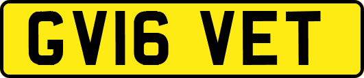 GV16VET