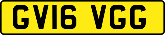 GV16VGG