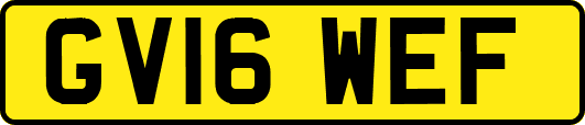 GV16WEF