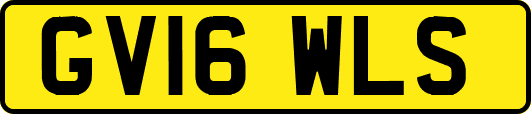 GV16WLS